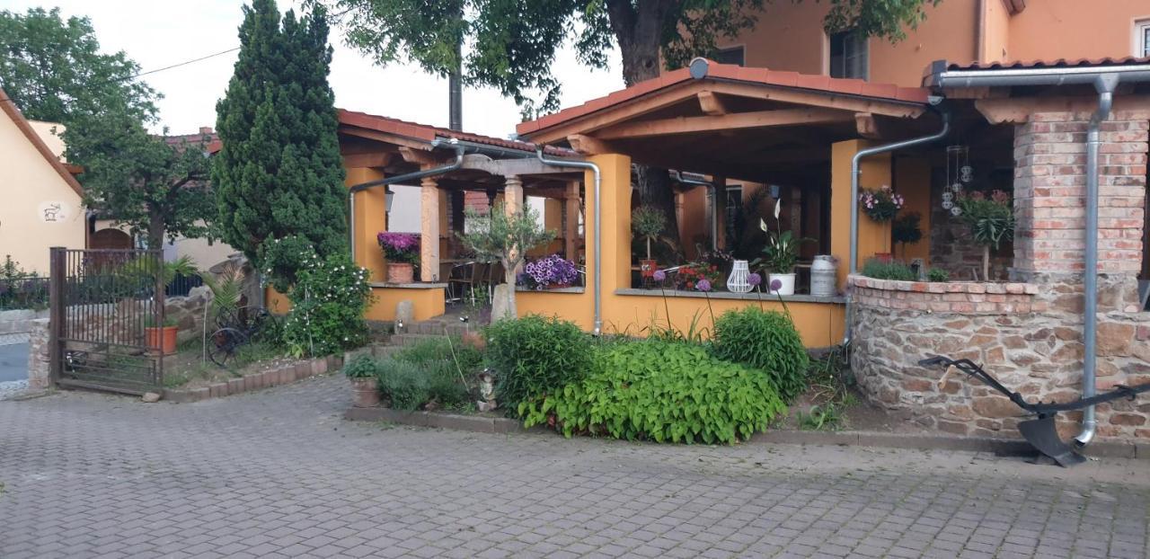 Hotel Und Pension Al Dente Nunchritz المظهر الخارجي الصورة